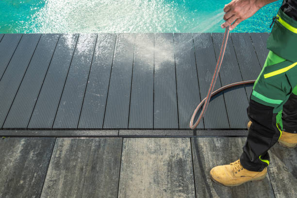 Best House Pressure Washing  in Gardnerville, NV
