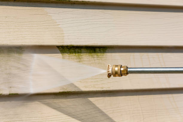 Best Power Washing Near Me  in Gardnerville, NV